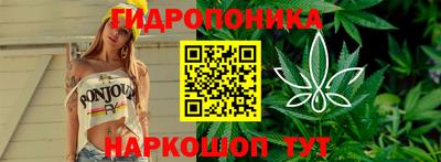 ГАЛЛЮЦИНОГЕННЫЕ ГРИБЫ Малгобек