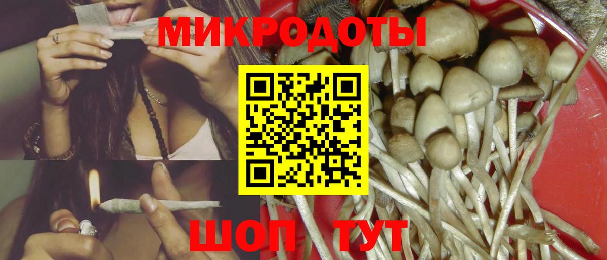 Псилоцибиновые грибы Psilocybine cubensis  наркотики  Армавир  Вход с VPN 