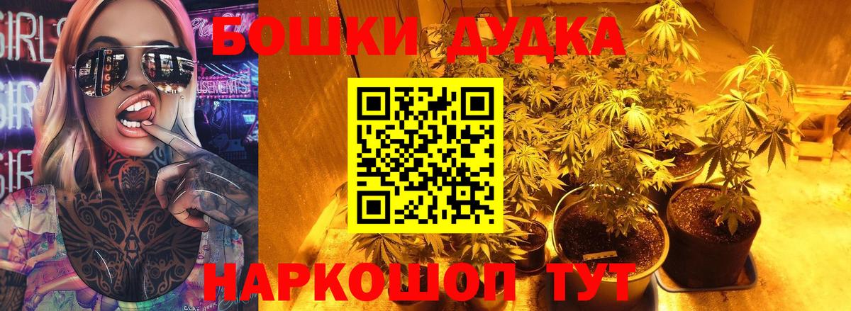 Каннабис конопля Армавир